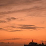 DSC_1748