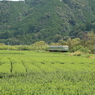 7F1Y7091