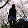綺麗なお姉さんは好きですか？　その６
