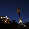 Sydney Tower