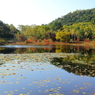 長野～群馬の旅　池
