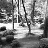 西苔寺