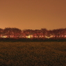 夜桜回廊－Ⅰ