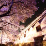 姫路城