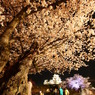 姫路城