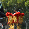 大平木