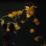 まるで絵画の様