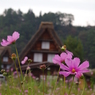 のどかなとこ