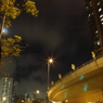 HP2F0005