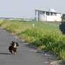 未来館とレオ