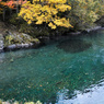 野生の川の秋の景色