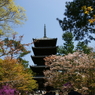 DSC04081