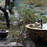 円覚寺16