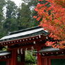 日光　二荒山神社の紅葉2