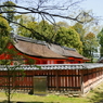 DSC04201