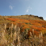 山は秋色