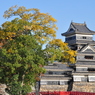 好天に恵まれ