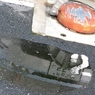 雨上がりの朝Ⅵ