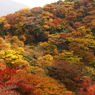 紅葉の山