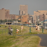 西新井