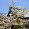 DSC04267(1)