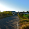 photo_1446238