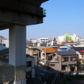 十条