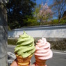 春色のソフトクリーム