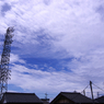 玄関写真#20110730