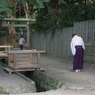 IMGP3640