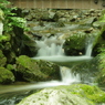 IMGP3459