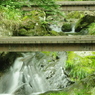 IMGP3463