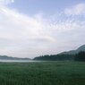 朝靄の尾瀬沼