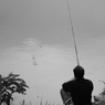 OldmanFish