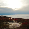 sea of clouds