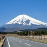 富士の裾野