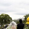 あひるのいる結婚式III