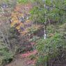 紅葉遠景１