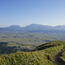 _DSC0273