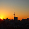 SKY TREE@20111029