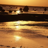 「夕日と鳥」　2011伊良部島