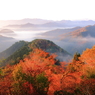 紅葉と雲海②