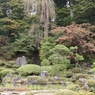 調和