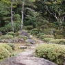 庭園の道