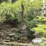 守神