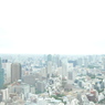東京フラワー