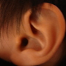 RIMG0095