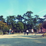 RIMG0159