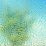 美どりを乗せて飛び交う水玉