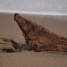 P9230271